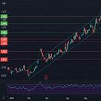 bet stock price